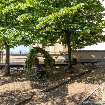 Villa Santa Margherita - B&B Cortona Eksteriør billede