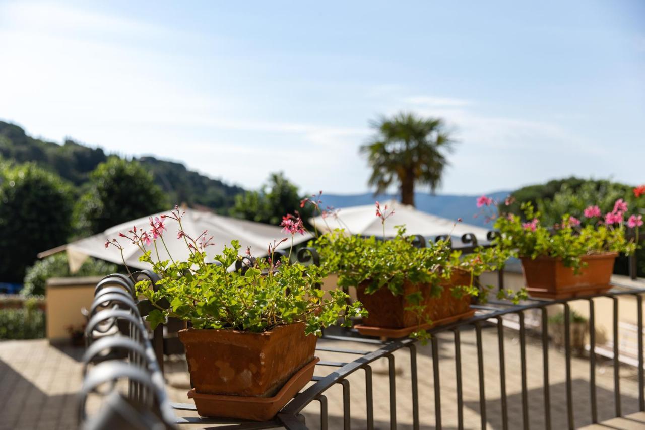 Villa Santa Margherita - B&B Cortona Eksteriør billede