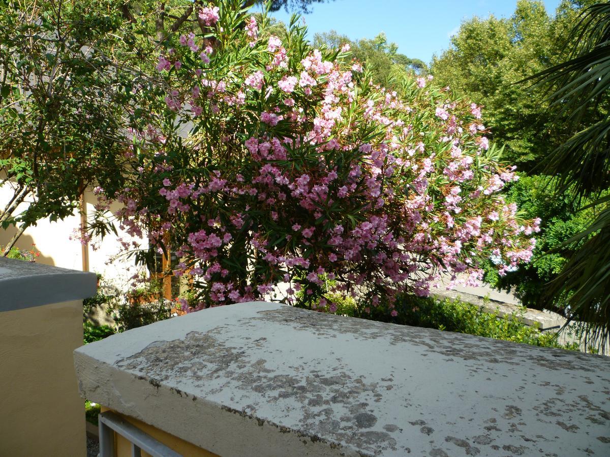 Villa Santa Margherita - B&B Cortona Eksteriør billede